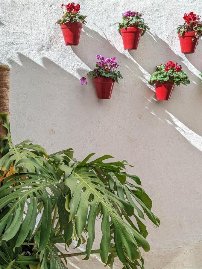 Harbor Getaway In The Heart Of Puerto Banus With Walking Dictance To Everything Marbella Exterior foto